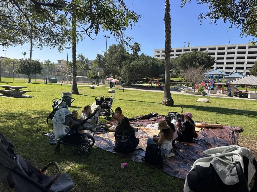 LA New Mamas gathering with strollers and picnic blankets in a Los Angeles park
